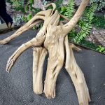 Паучий корень/Корень Азалии НК726 — изображение 5