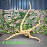 Паучий корень/Корень Азалии НК727 — изображение 2