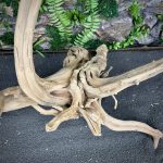 Паучий корень/Корень Азалии НК727 — изображение 5