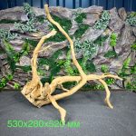 Паучий корень/Корень Азалии НК728 — изображение 2