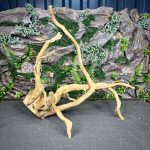 Паучий корень / Корень Азалии