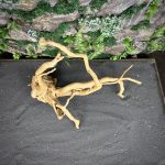 Паучий корень/Корень Азалии НК728 — изображение 4