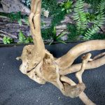 Паучий корень/Корень Азалии НК728 — изображение 5