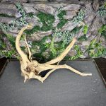 Паучий корень/Корень Азалии НК730 — изображение 3