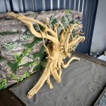 Паучий корень/Корень Азалии НК731 — изображение 5