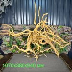 Паучий корень/Корень Азалии НК732 — изображение 2