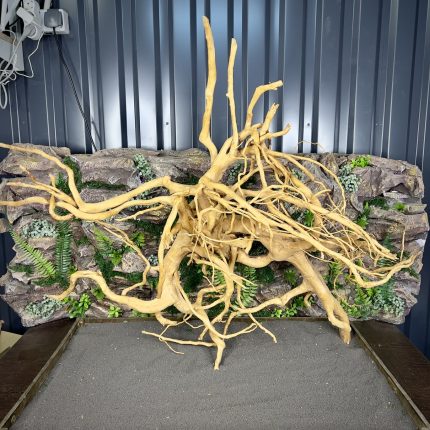 Паучий корень / Корень Азалии