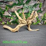 Паучий корень/Корень Азалии НК733 — изображение 2