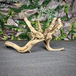 Паучий корень / Корень Азалии