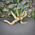 Паучий корень/Корень Азалии НК733 — изображение 3