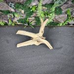 Паучий корень/Корень Азалии НК734 — изображение 3