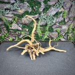 Паучий корень/Корень Азалии НК736 — изображение 3