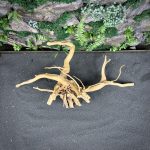 Паучий корень/Корень Азалии НК736 — изображение 4