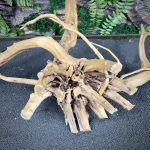 Паучий корень/Корень Азалии НК736 — изображение 5