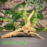 Паучий корень/Корень Азалии НК737 — изображение 2