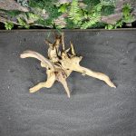 Паучий корень/Корень Азалии НК740 — изображение 4