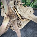 Паучий корень/Корень Азалии НК740 — изображение 5