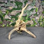 Паучий корень/Корень Азалии НК740 — изображение 6