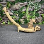 Коралловое дерево / Coral Wood