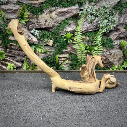 Коралловое дерево / Coral Wood