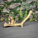 Коралловое дерево/Coral Wood КД744 — изображение 6