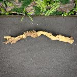 Коралловое дерево/Coral Wood КД745 — изображение 3