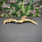 Коралловое дерево/Coral Wood КД745 — изображение 4