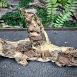 Коралловое дерево/Coral Wood КД746 — изображение 5