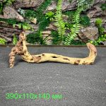 Коралловое дерево/Coral Wood КД747 — изображение 2