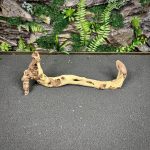 Коралловое дерево/Coral Wood КД747 — изображение 3