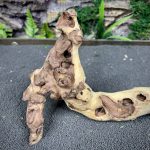 Коралловое дерево/Coral Wood КД747 — изображение 5