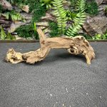 Коралловое дерево / Coral Wood