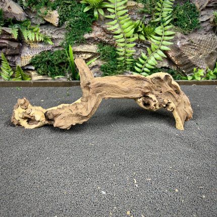 Коралловое дерево / Coral Wood