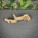 Коралловое дерево/Coral Wood КД748 — изображение 3