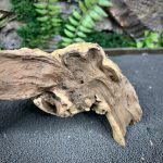 Коралловое дерево/Coral Wood КД748 — изображение 4