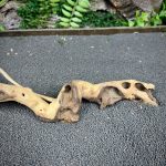 Коралловое дерево/Coral Wood КД749 — изображение 4