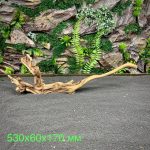 Коралловое дерево/Coral Wood КД750 — изображение 2