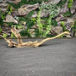 Коралловое дерево / Coral Wood