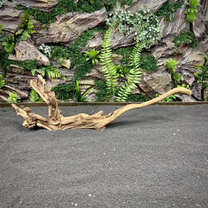 Коралловое дерево / Coral Wood