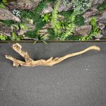 Коралловое дерево/Coral Wood КД750 — изображение 3