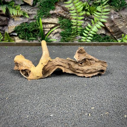 Коралловое дерево / Coral Wood