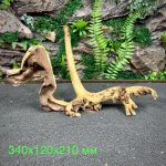 Коралловое дерево/Coral Wood КД752 — изображение 2