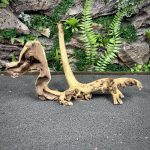 Коралловое дерево / Coral Wood