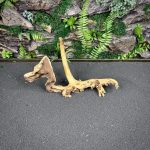 Коралловое дерево/Coral Wood КД752 — изображение 3