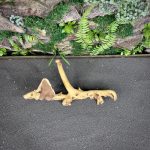 Коралловое дерево/Coral Wood КД752 — изображение 4