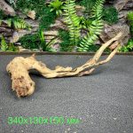 Коралловое дерево/Coral Wood КД753 — изображение 2