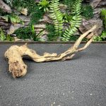 Коралловое дерево / Coral Wood