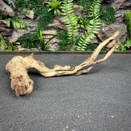 Коралловое дерево / Coral Wood