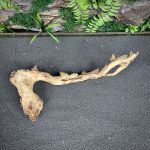 Коралловое дерево/Coral Wood КД753 — изображение 3