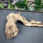 Коралловое дерево/Coral Wood КД753 — изображение 4